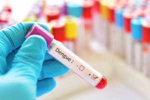 dengue em crianças (3) 3